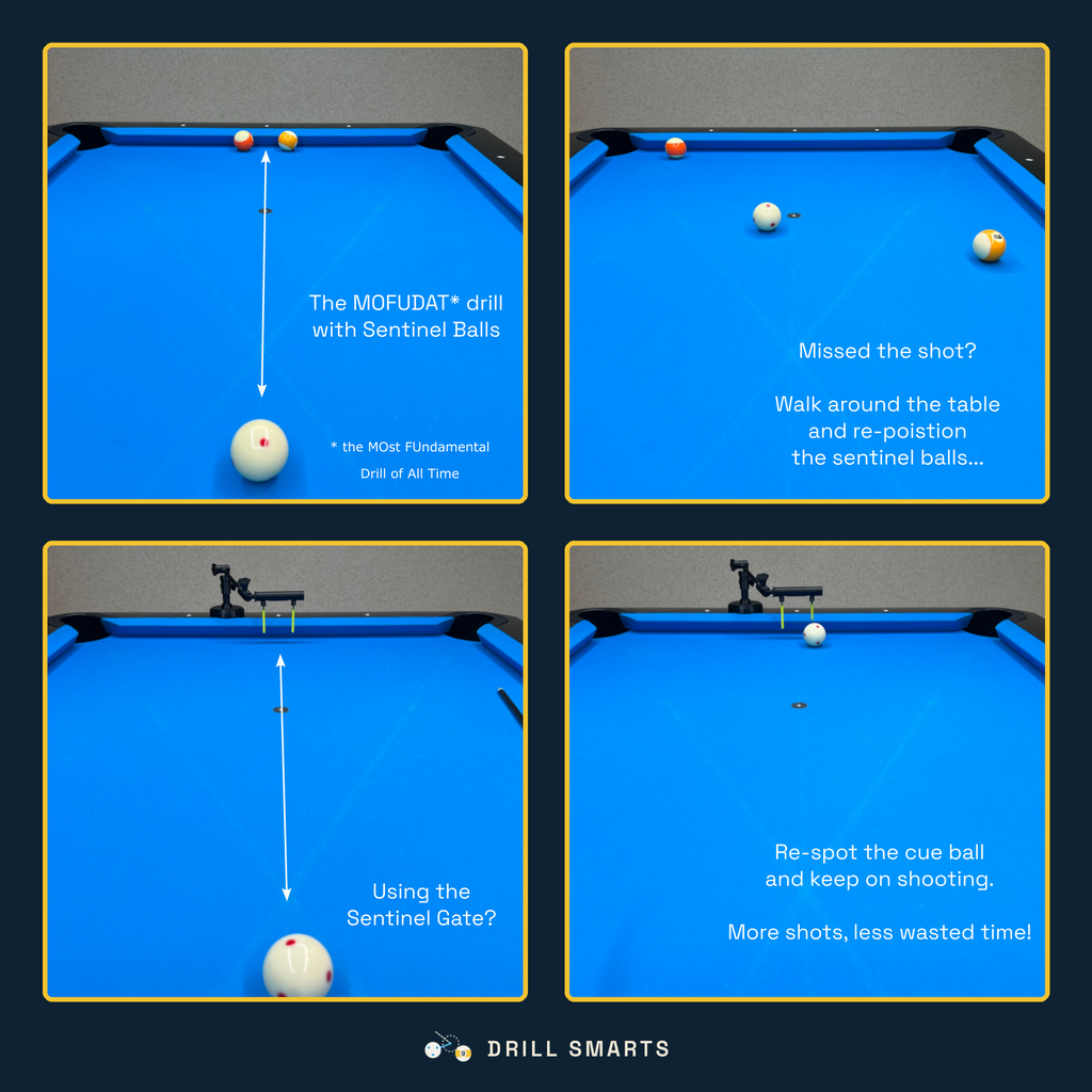 Sentinel Gate - Precision Shot Line Training and Feedback Aid