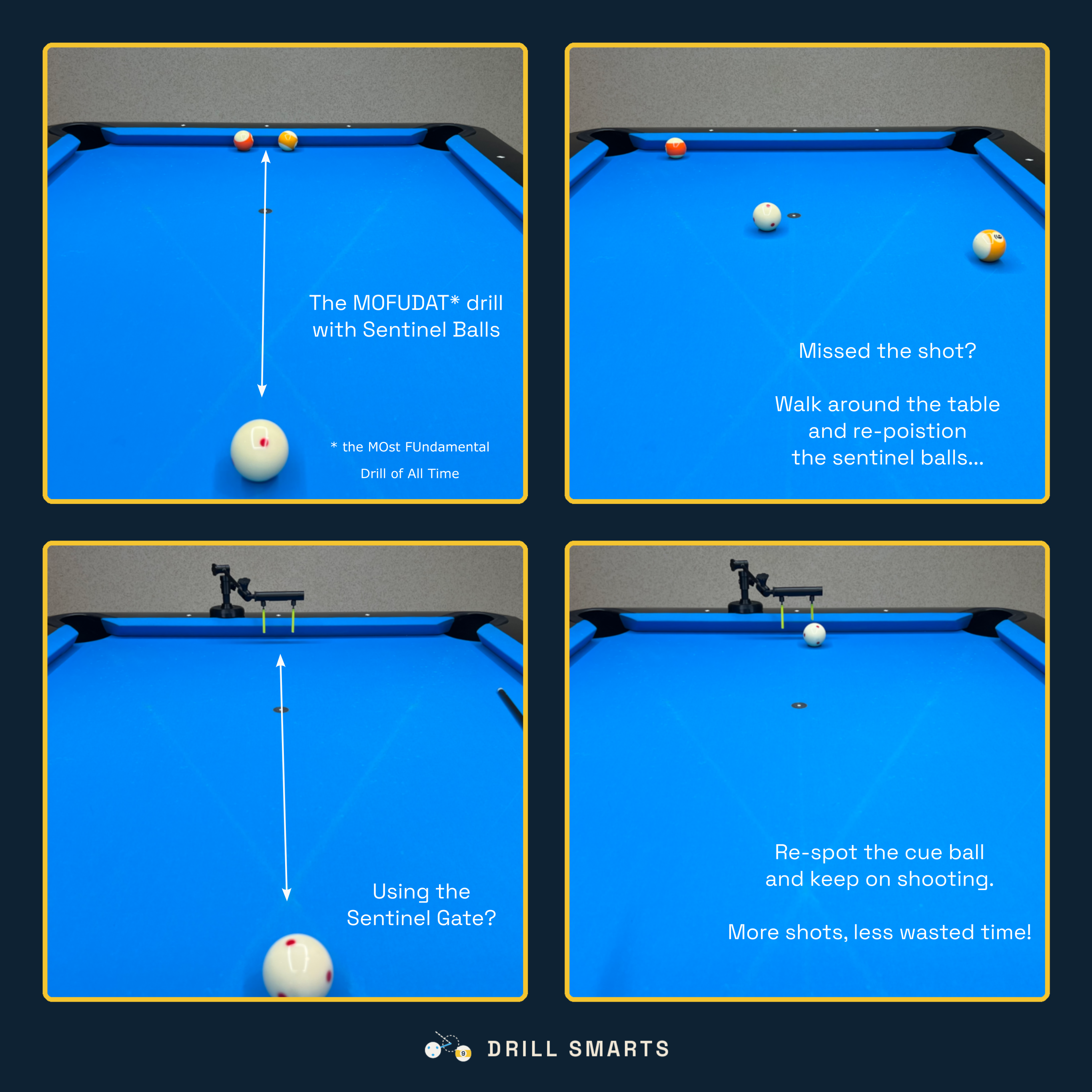 Sentinel Gate - Precision Shot Line Training and Feedback Aid